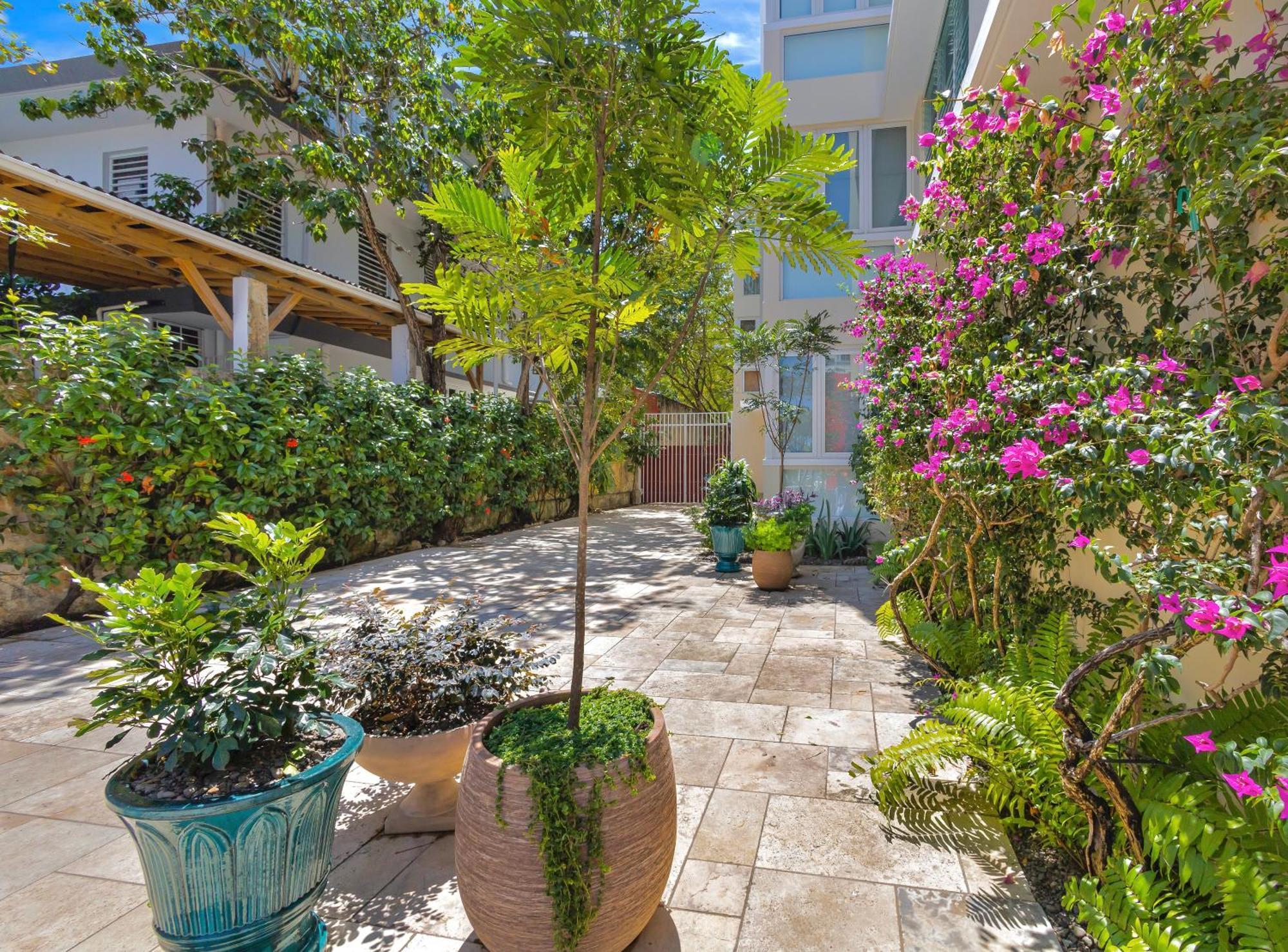 Hidden Gem In Miramar- Power Generator- Parking Appartement San Juan Buitenkant foto