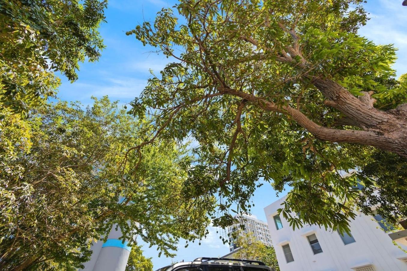 Hidden Gem In Miramar- Power Generator- Parking Appartement San Juan Buitenkant foto