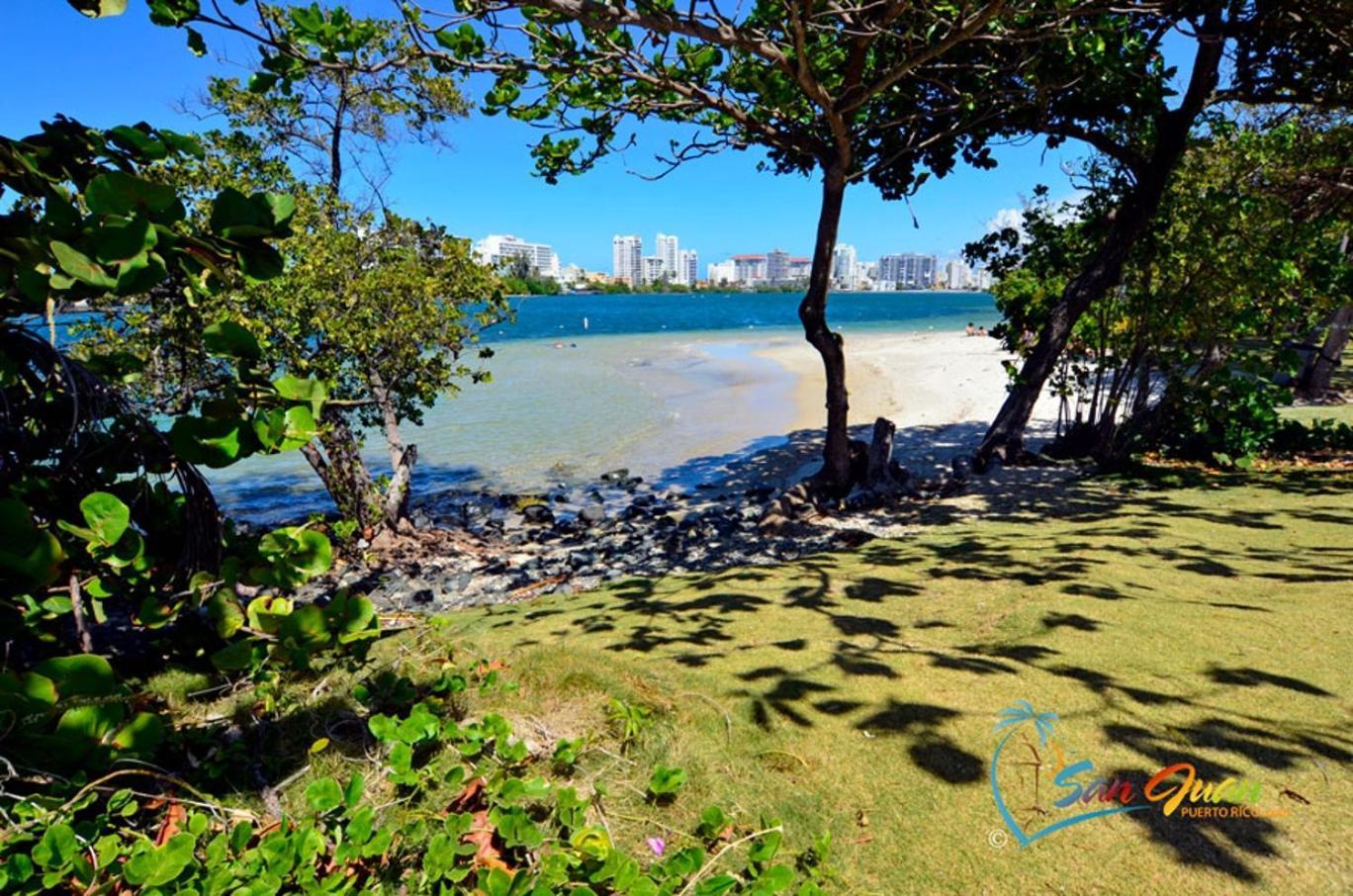 Hidden Gem In Miramar- Power Generator- Parking Appartement San Juan Buitenkant foto
