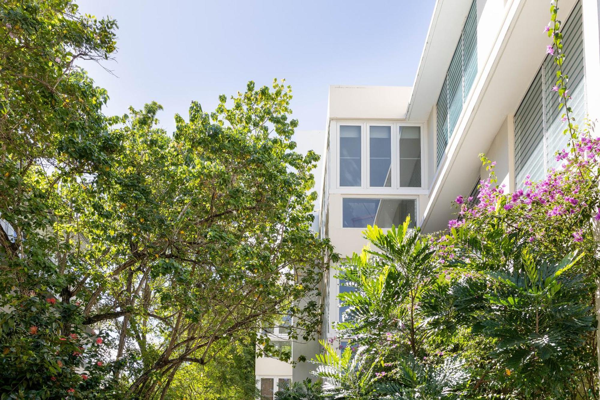 Hidden Gem In Miramar- Power Generator- Parking Appartement San Juan Buitenkant foto