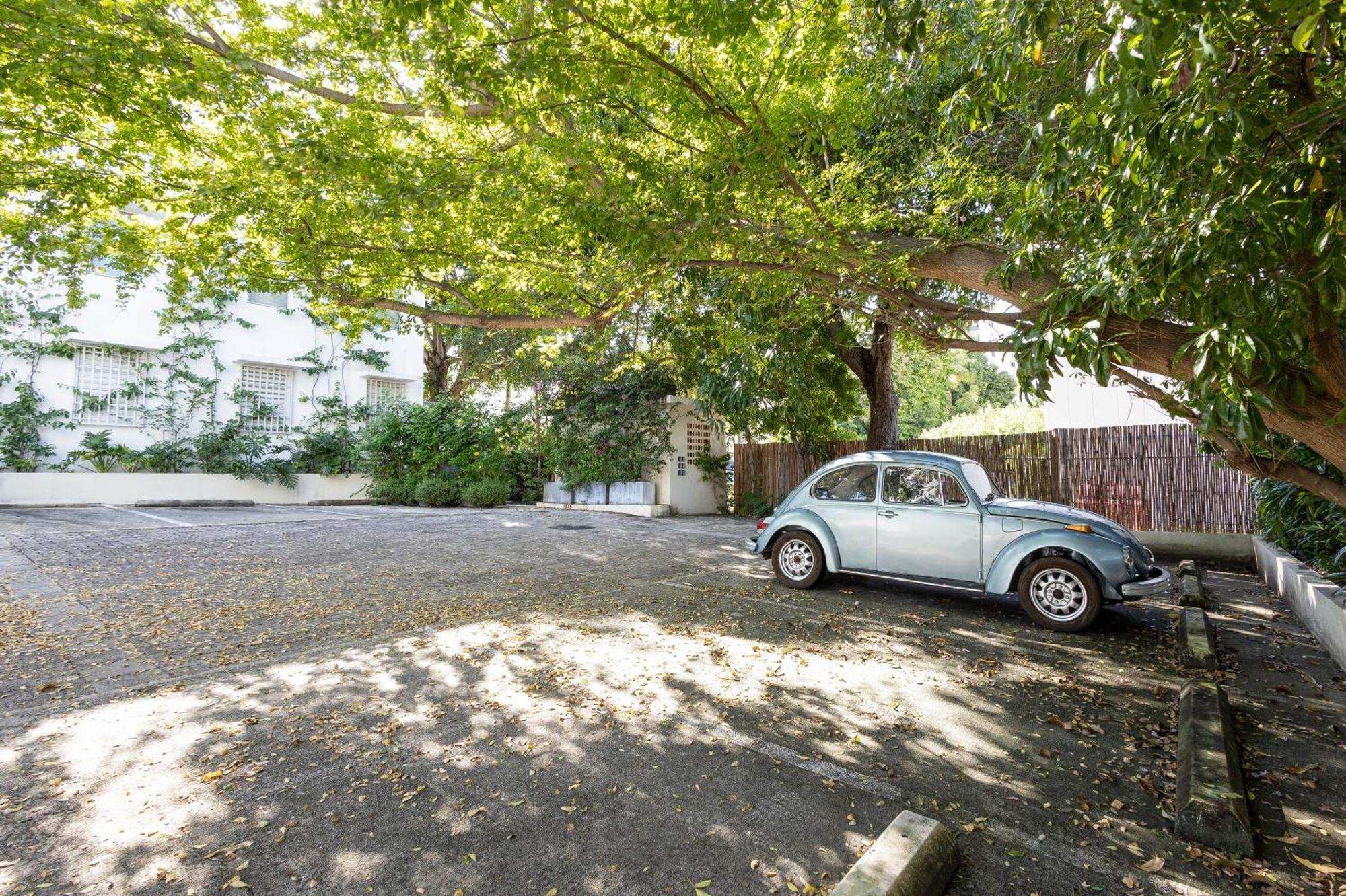 Hidden Gem In Miramar- Power Generator- Parking Appartement San Juan Buitenkant foto