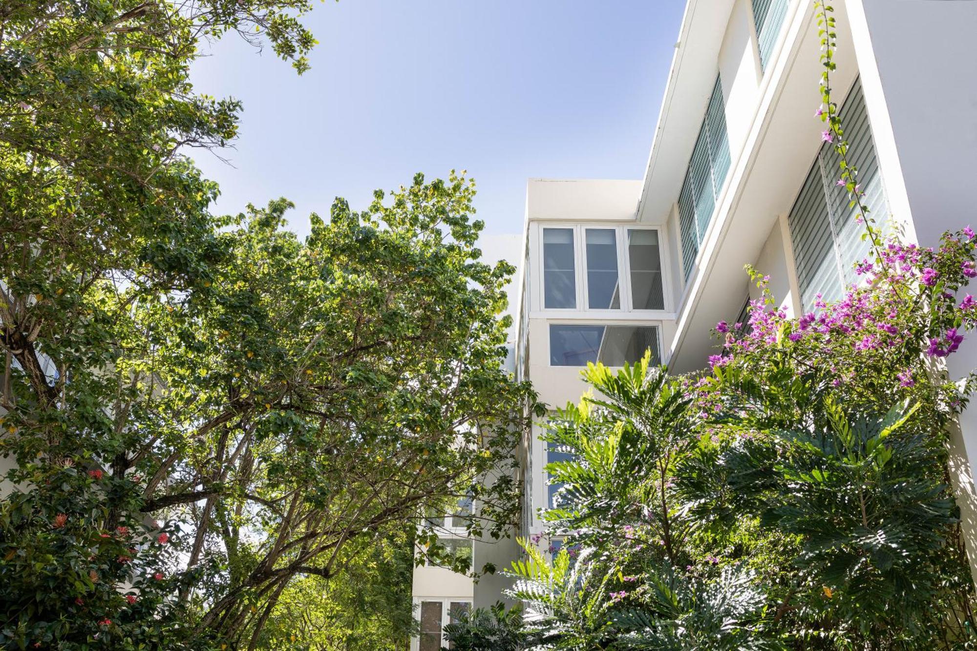 Hidden Gem In Miramar- Power Generator- Parking Appartement San Juan Buitenkant foto